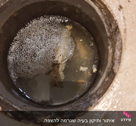 פתרון ניקוז רצפתי סתום עם מים עומדים וקצף